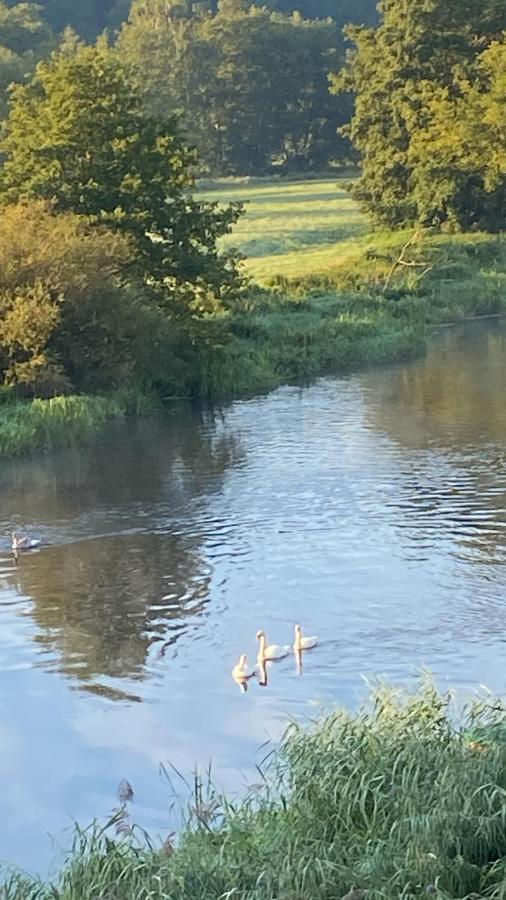 Idyllische Ferienwohnungen In Mossendorf Blick Zur Naab Burglengenfeld Dış mekan fotoğraf